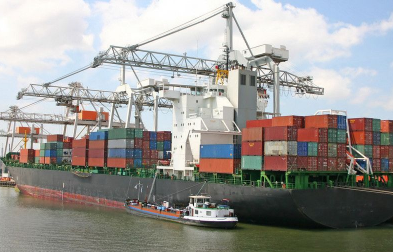 公認(rèn)進口報關(guān)代理公司會采取哪些措施來確保報關(guān)服務(wù)的專業(yè)性？