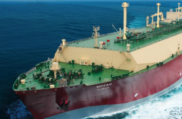 中國的海運業發展迅速，國內海運公司也紛紛嶄露頭角