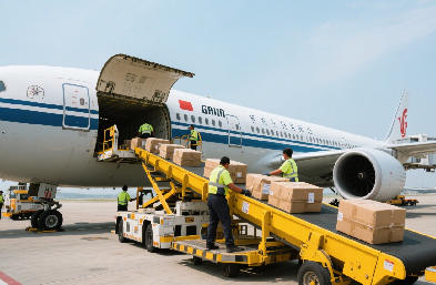 上海貨代行業(yè)全景解析：空海雙樞紐驅動的全球物流網絡